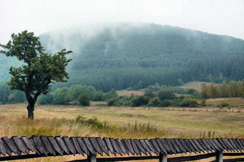 Dworek Mysliwski Villaer Laskowka (Lower Silesia)